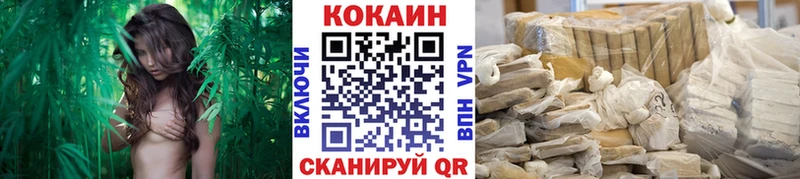 Кокаин Fish Scale  цена наркотик  Суворов 