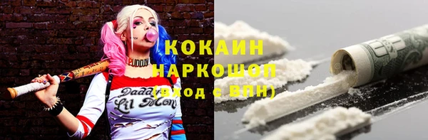 СК Михайлов
