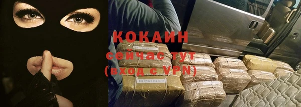 СК Михайлов