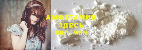 индика Баксан