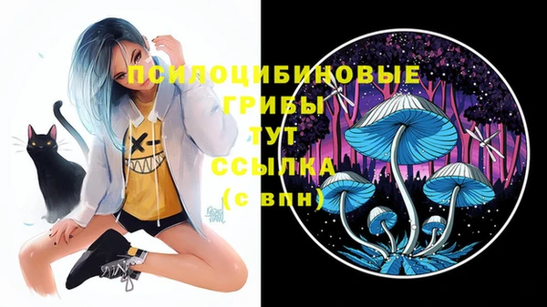 СК Михайлов
