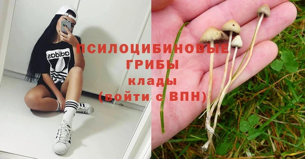 дурь Надым