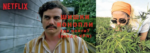 СК Михайлов