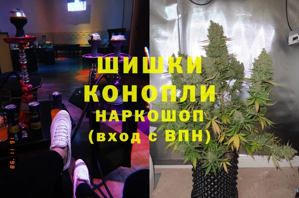 СК Михайлов